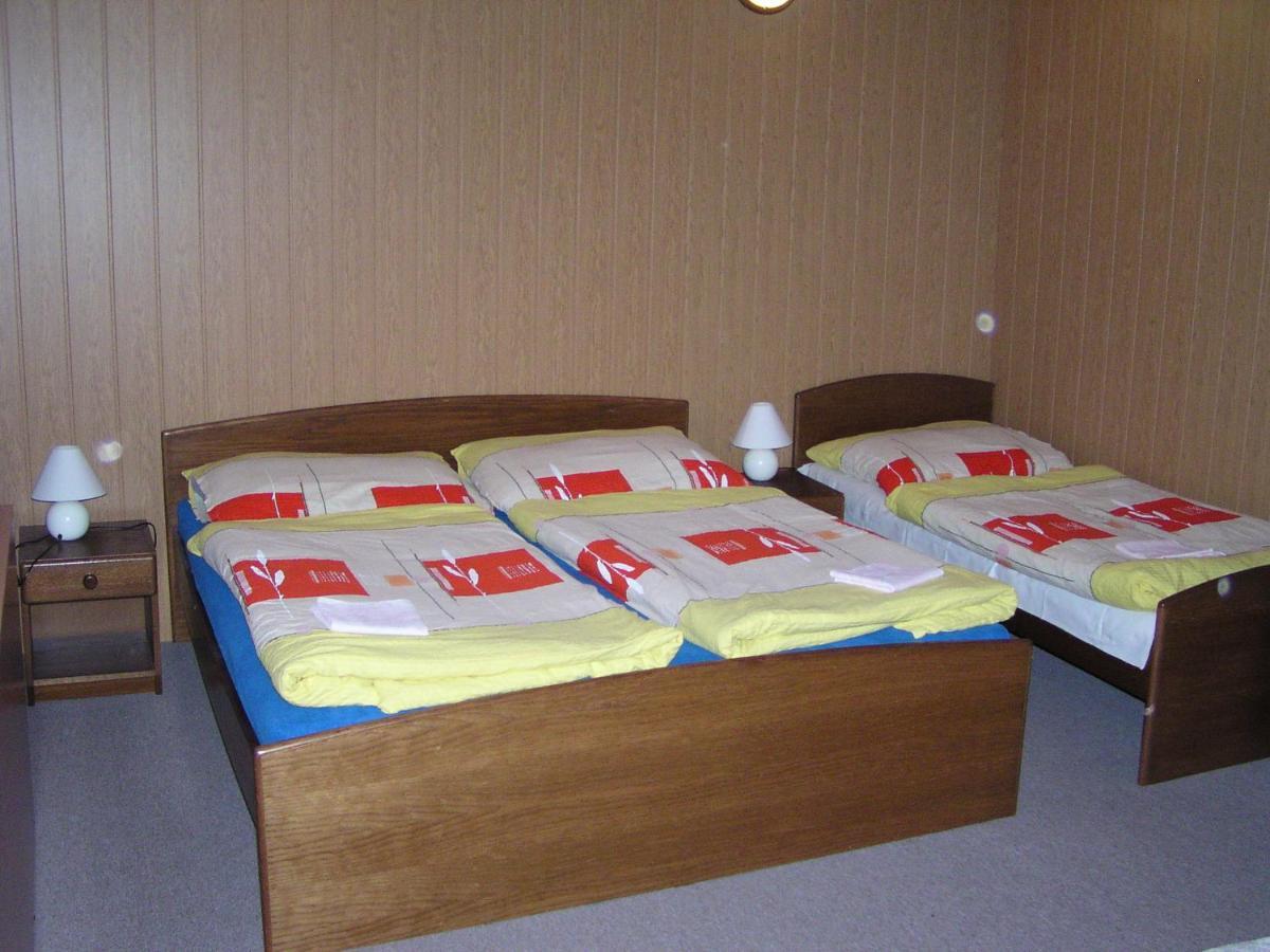 Monte Lope Hotel Bystrice pod Lopenikem Екстериор снимка
